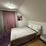 Nice Apartment